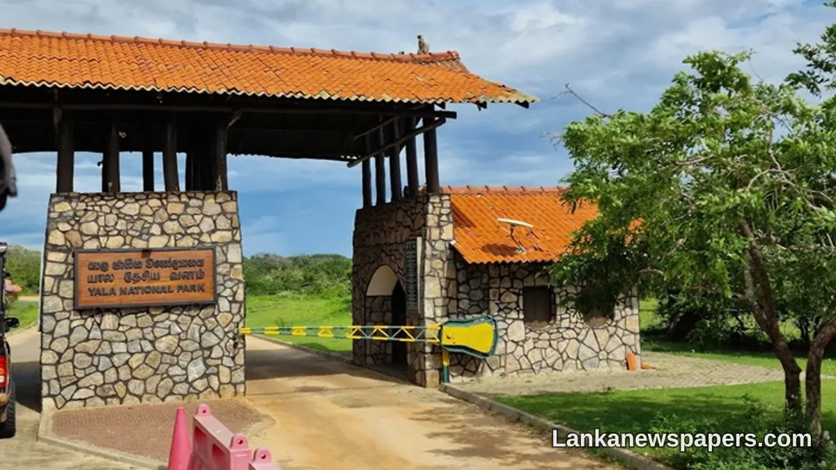 Suspected Poacher Shot and Arrested Following Armed Confrontation with Wildlife Officers in Yala