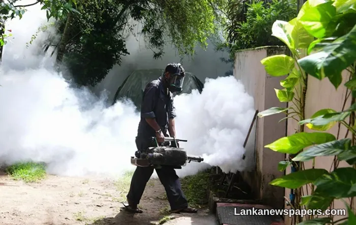 Sri Lanka's Dengue Crisis Deepens as Case Count Approaches 50,000