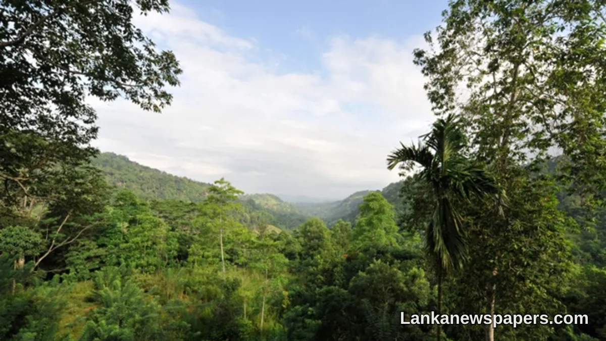 හෙක්ටයාර් 9,500කට අධික භූමියක් ආරක්ෂා කිරීමට වනාන්තර 20ක් නිල රක්ෂිත ලෙස ප්‍රකාශයට පත් කිරීමට ශ්‍රී ලංකාව සූදානම්