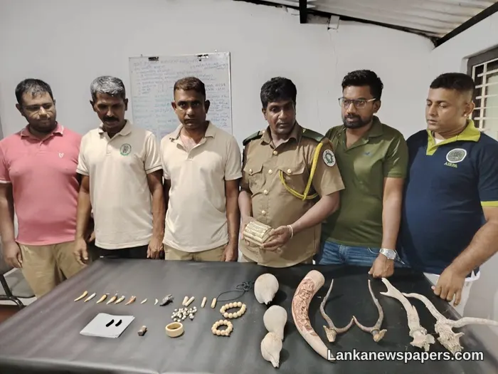 Wildlife Trafficking Crackdown: Three Arrested Over Illegal Animal Parts and Jewellery in Colombo and Panadura