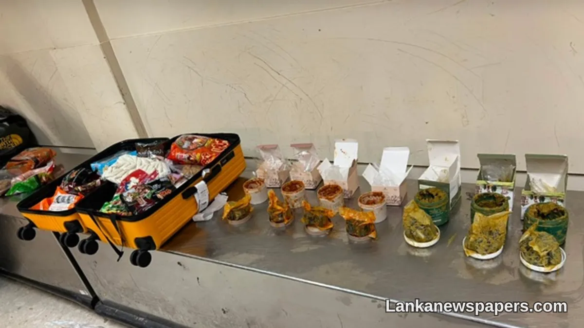 Three Thai Nationals Nabbed at Katunayake Airport in Major Rs. 51 Million Hashish Bust