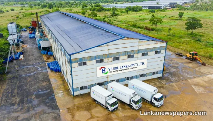 මඩුරන්කුලිය සමාගමක් මාළු අපද්රව්ය මිලියන ගණනක විදේශ විනිමය ඉපැයීම්වලට පරිවර්තනය කරයි