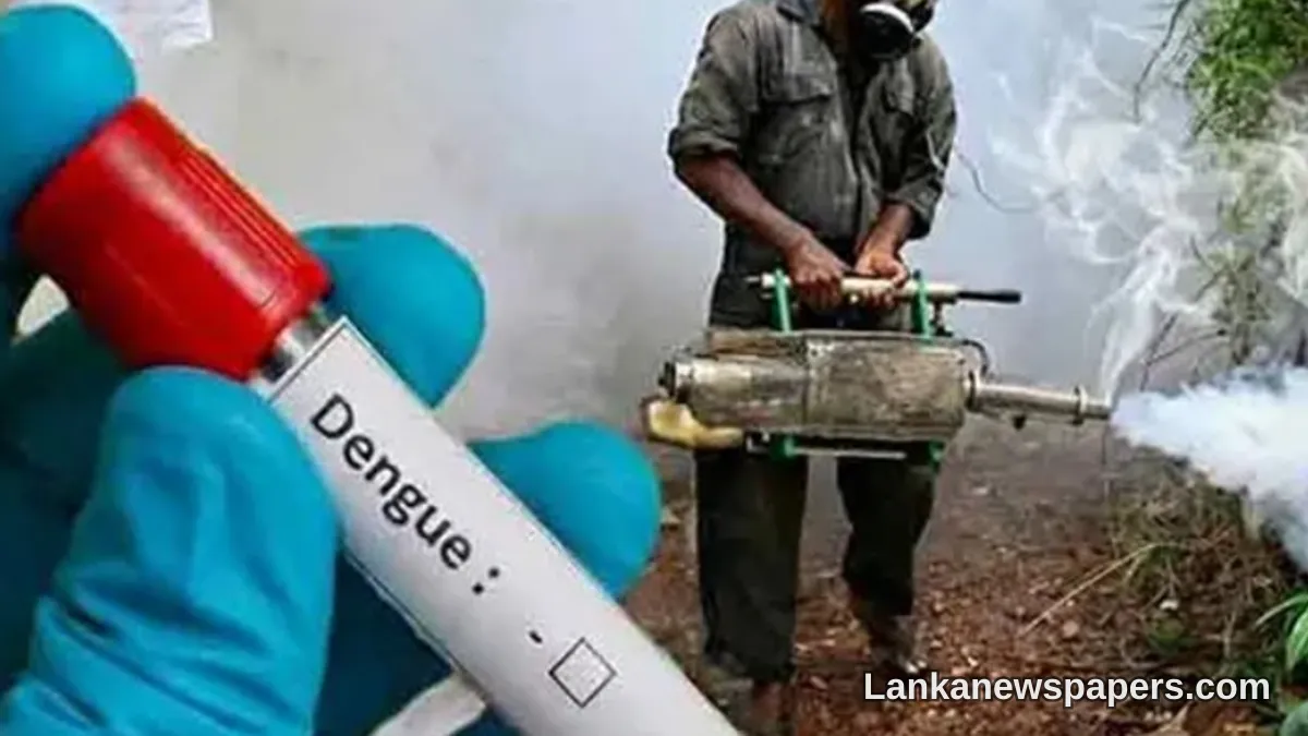 Sri Lanka's Dengue Crisis Deepens as Cases Surpass 91,000 Mark