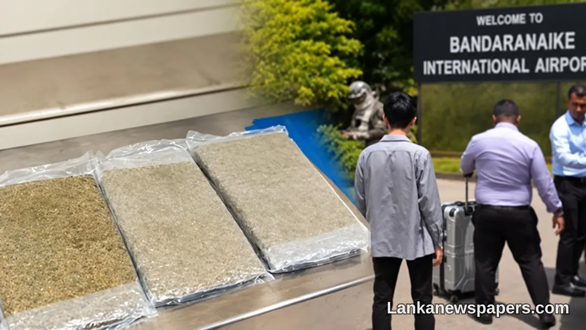 Myanmar National Nabbed at Katunayake Airport With Rs. 46 Million Worth of Kush