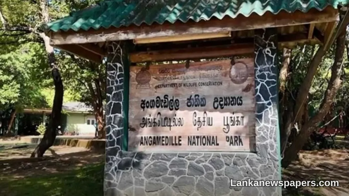New Elephant Transit Home to Be Established Near Polonnaruwa