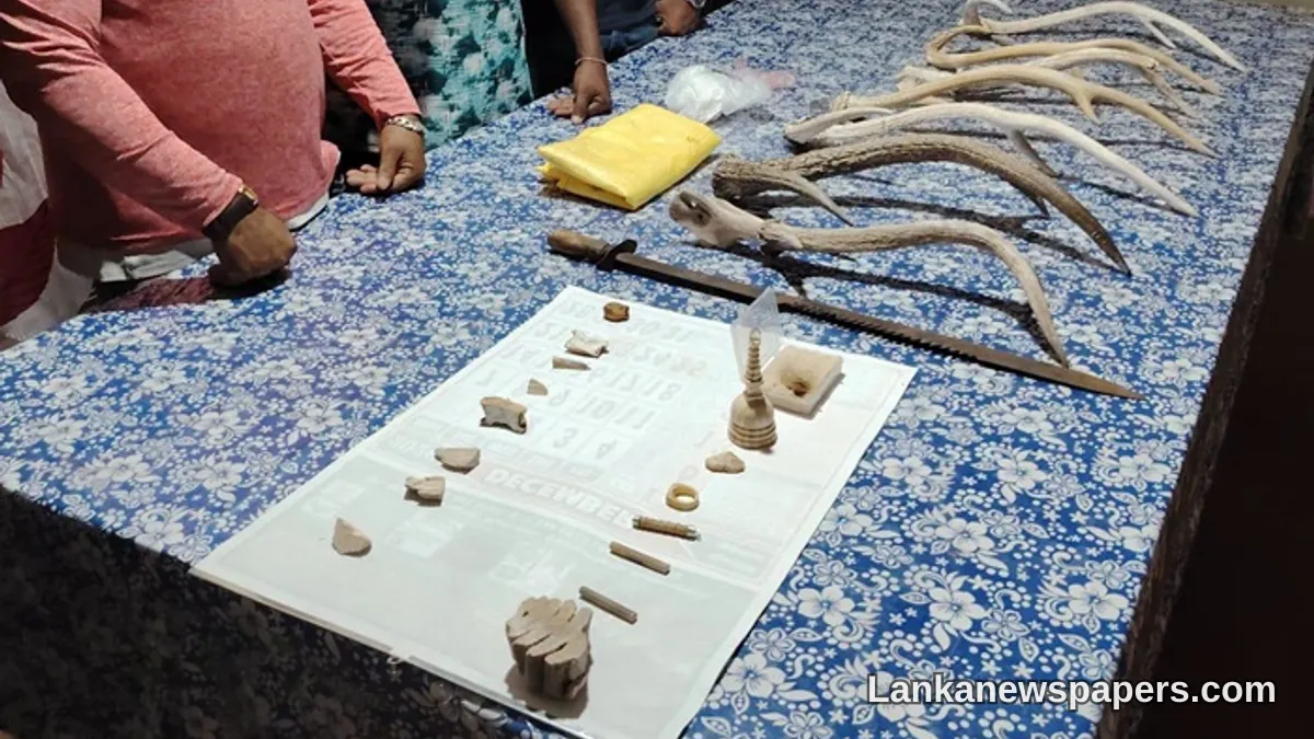 Two Arrested in Kuruvita as Joint STF–Wildlife Raid Exposes Illegal Wildlife Trade