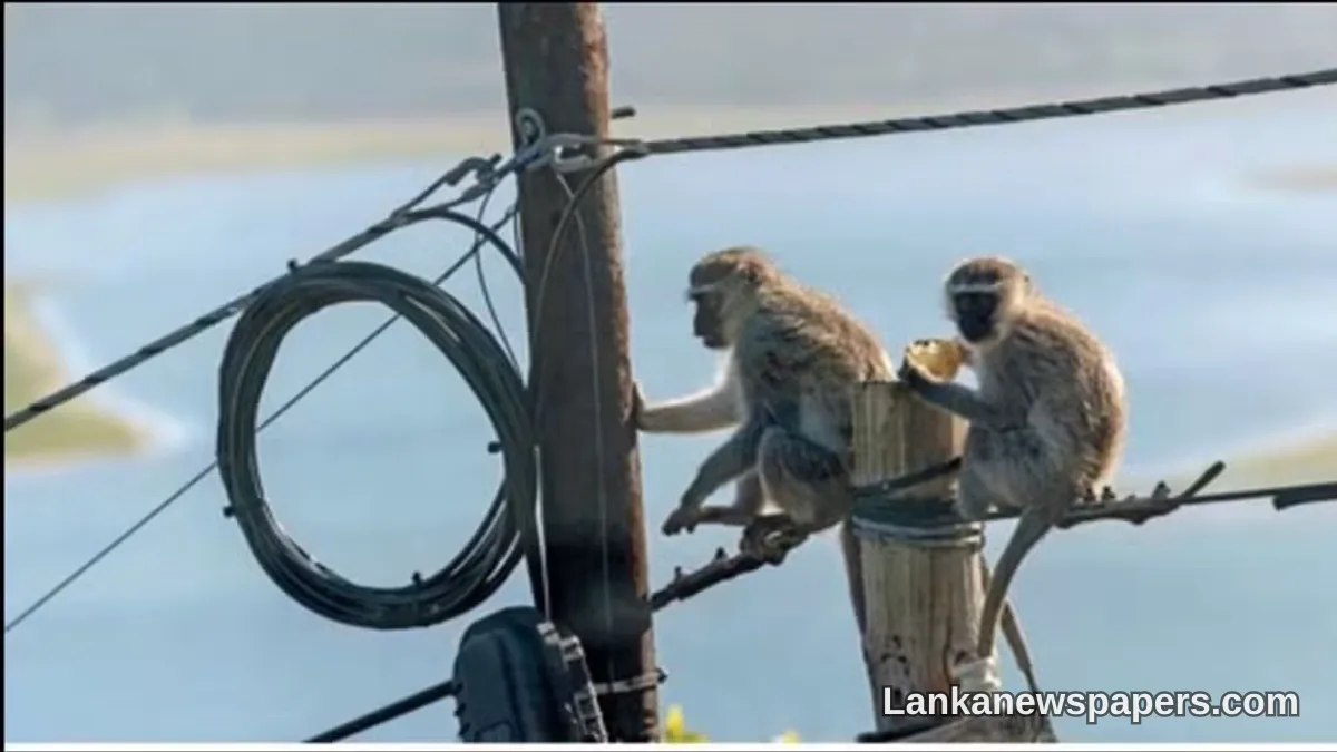 Bar Association Chairman Demands Permanent Fix to Sri Lanka's Recurring Power Cuts