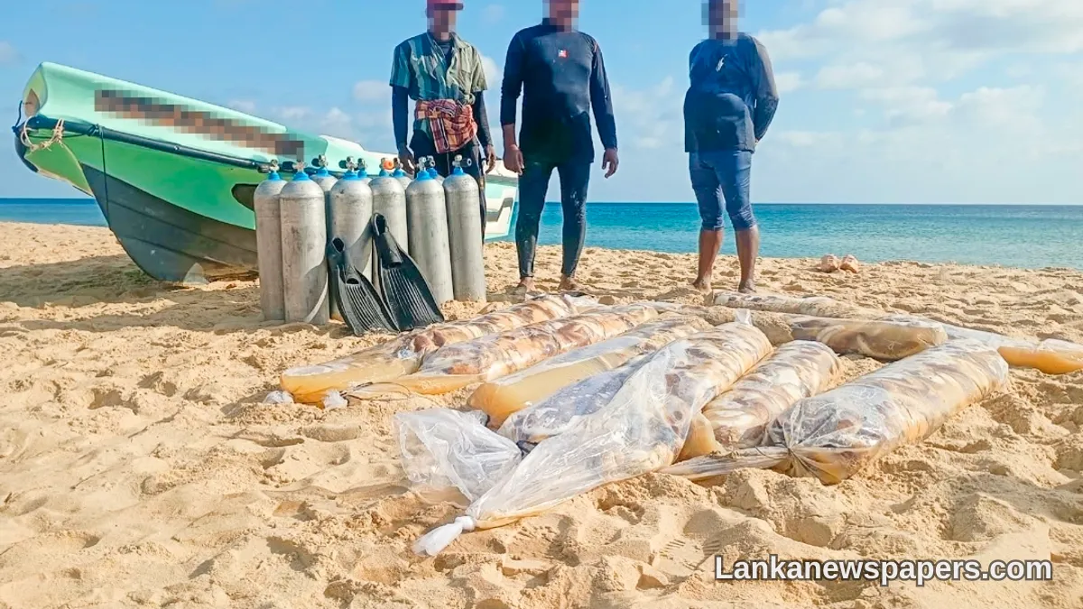 Navy Nabs Three Suspects in Illegal Sea Cucumber Haul Off Kudarappu Coast