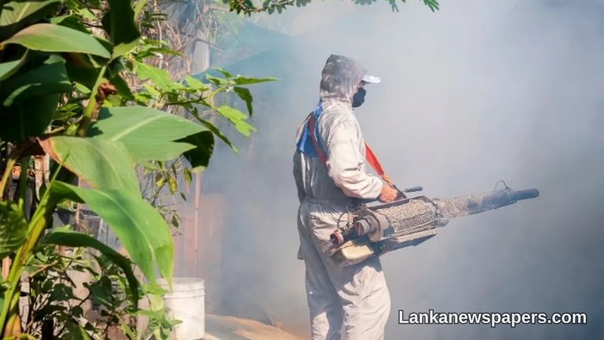 Sri Lanka's Dengue Death Toll Climbs to 69 as Health Authorities Raise Alarm