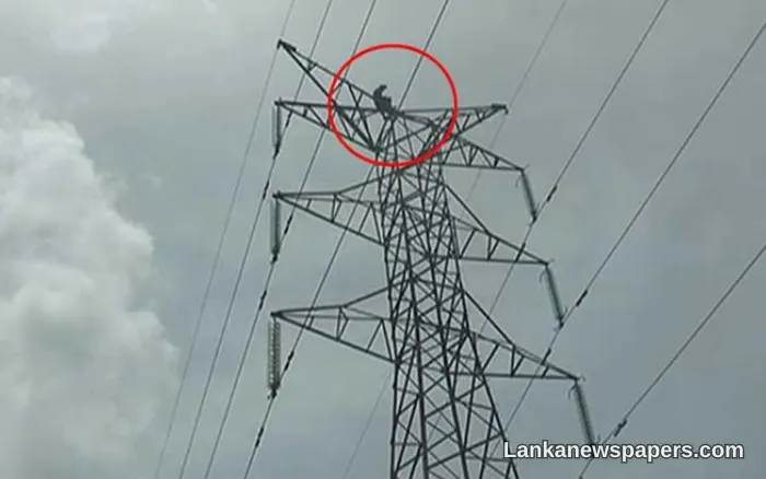 Matara Man Ordered to Pay Rs. 201,000 to CEB After Climbing High-Voltage Pole