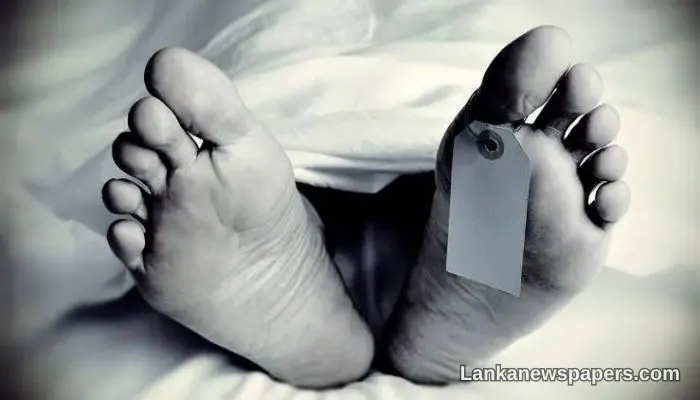 Two Schoolboys Drown After Falling Into Panwila Waterfall in Theldeniya
