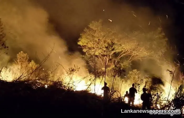 ඩියතලාව ෆොක්ස් හිල් අසල් දැවෙන වනාන්තර ගිනිදැල් මැඩපැවැත්වීමට ශ්‍රී ලංකා යුද්ධ හමුදාව යෙදවේ