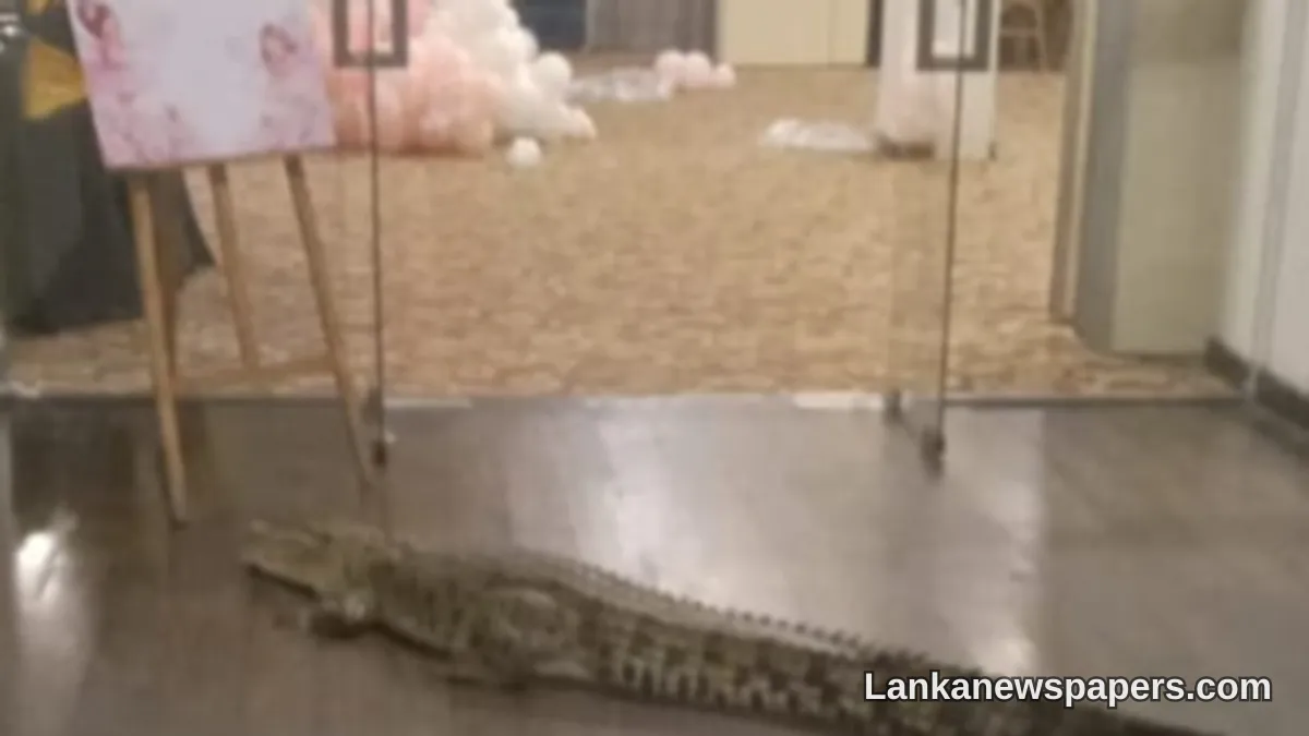 Crocodile Causes Alarm After Being Found Inside Battaramulla Hotel