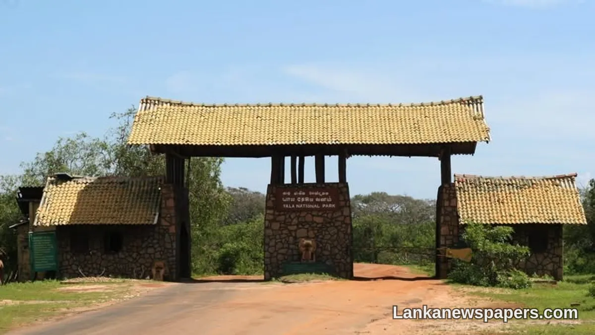 නියඟය හේතුවෙන් කුමන සහ ගල් ඔය ජාතික උද්‍යානවල කඳවුරු භූමි තාවකාලිකව වසා දමයි