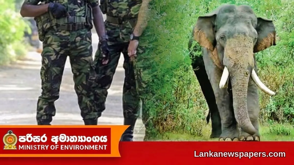 Army Deploys Special Unit to Track Down Beloved Wild Tusker Agbo