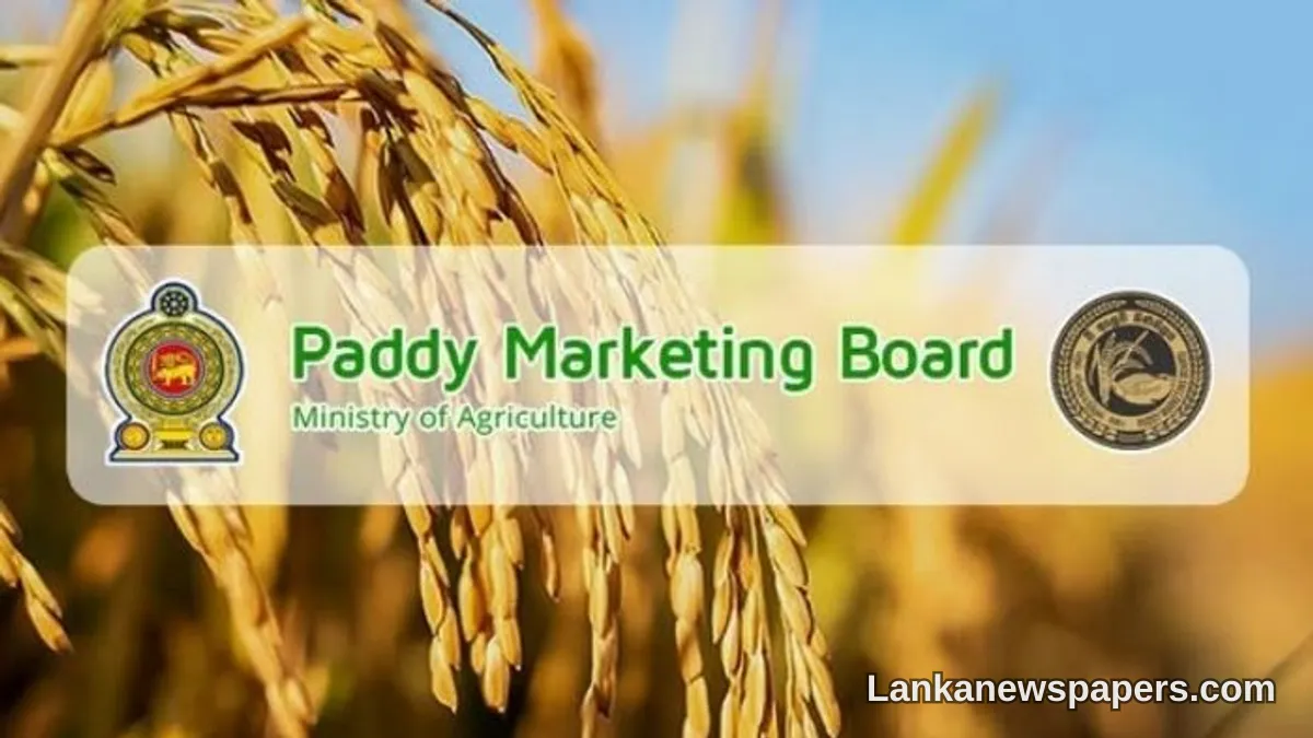 Sri Lanka to Convert 30,000 Metric Tons of Paddy Into Rice for Public Market Release