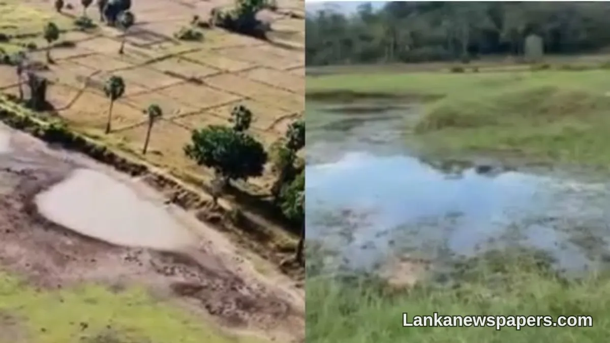 Prolonged Dry Spell Triggers Drinking Water Crisis Across Multiple Sri Lankan Provinces