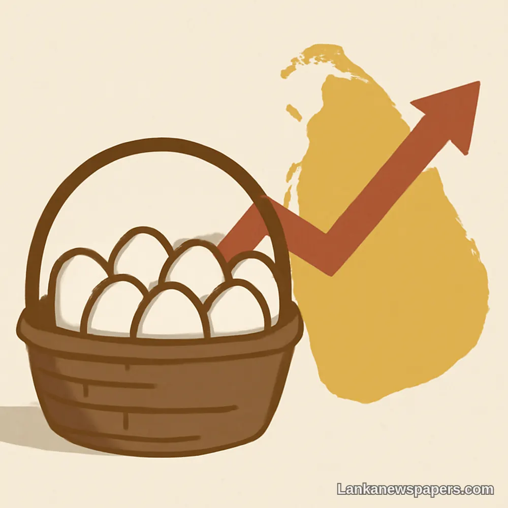 Egg Prices Set to Rise Across Sri Lanka Starting Tomorrow