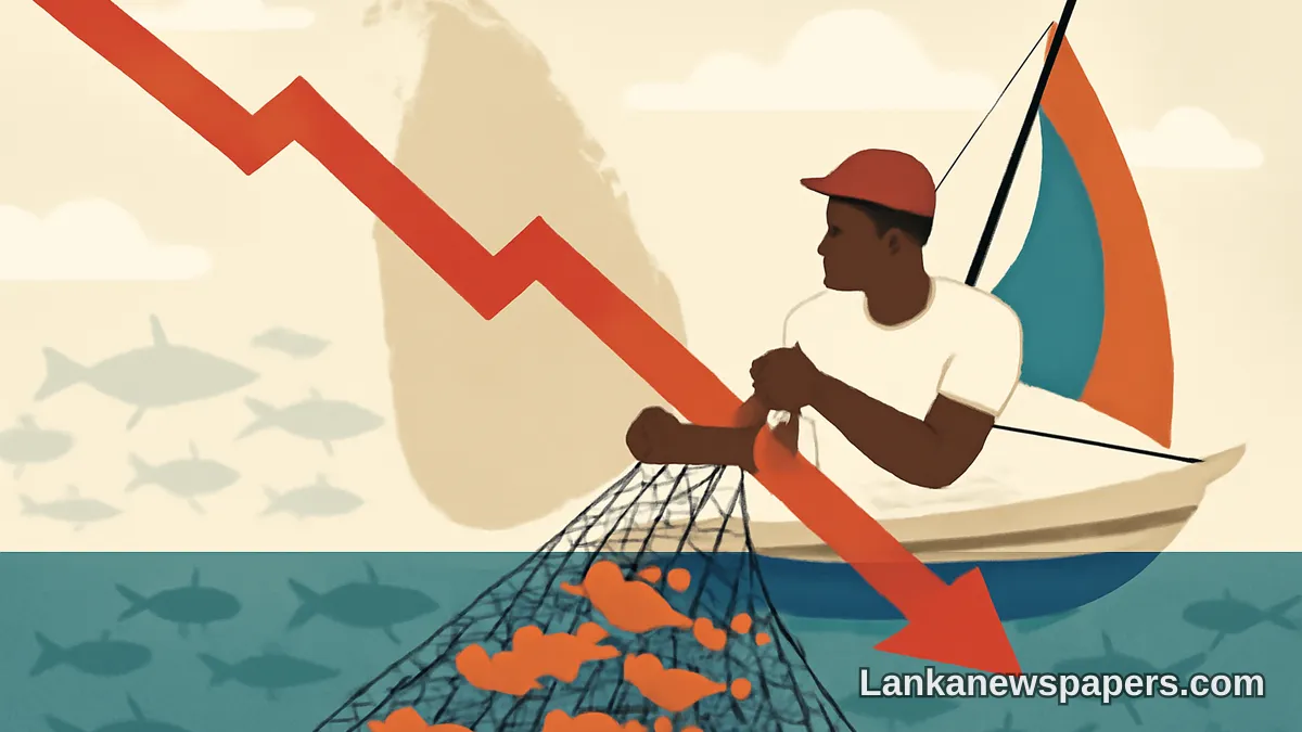 ශ්‍රී ලංකාවේ මත්ස්‍ය අස්වැන්න දශකයකට වැඩි කාලයක් තිස්සේ පහළ බැසෙමින් පවතී — NARA අනතුරු අඟවයි
