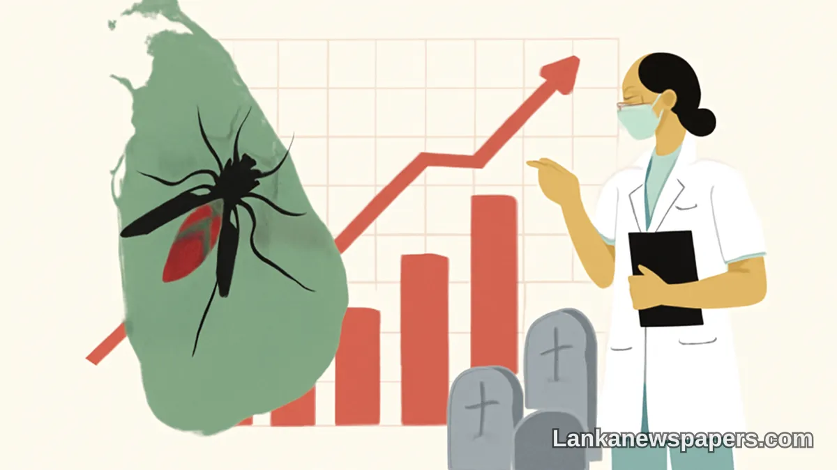 Sri Lanka's Dengue Crisis Deepens as Cases Approach 95,000 and Deaths Hit 72