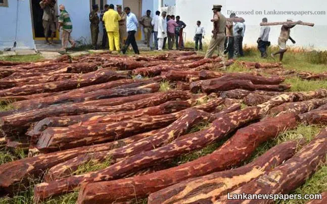India after Lankan red sanders’ smugglers