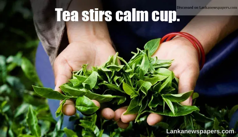 Tea stirs calm cup.