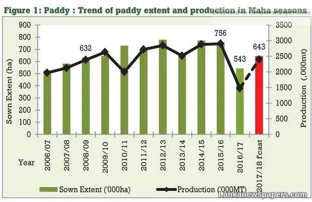 Paddy output set to recover this Maha season