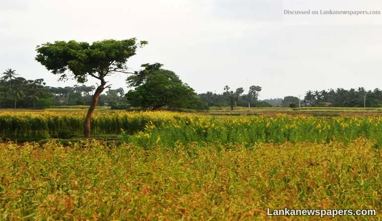 ONUR to implement Rs. 500 million worth irrigation project in the North and East