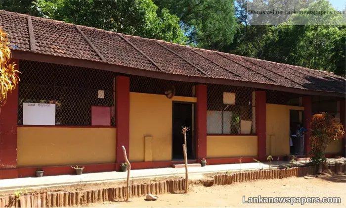 Some primary schools to close