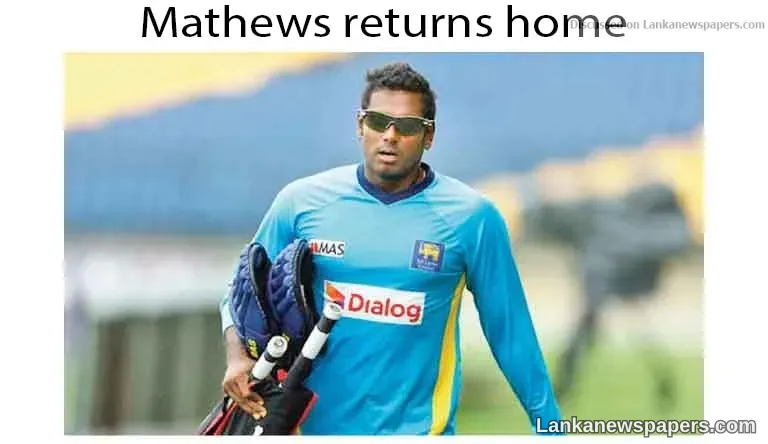 Mathews returns home