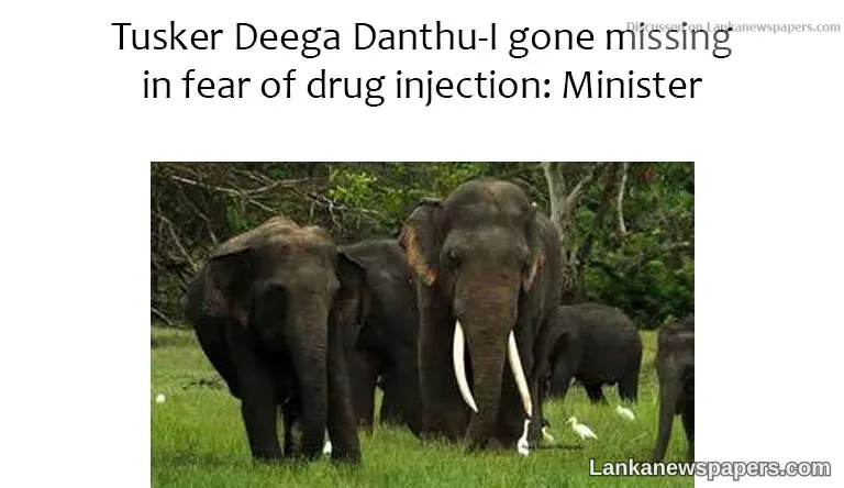 Tusker Deega Danthu-I gone missing in fear of drug injection: Minister
