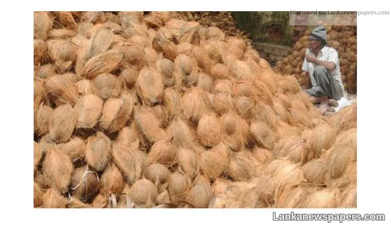 Sri Lanka's coconut prices steady, export ban lifted