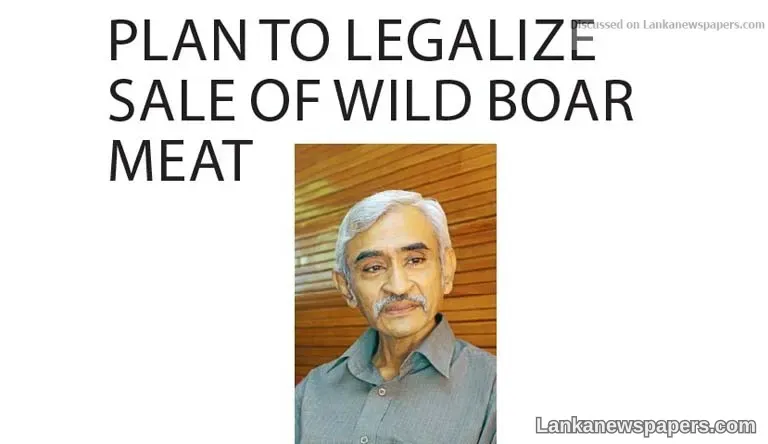 Plan to legalize sale of wild boar meat