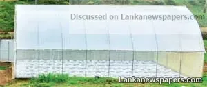 Dialog with Universities Ruhuna and Moratuwa spearhead next-gen solutions for smallholder farmers