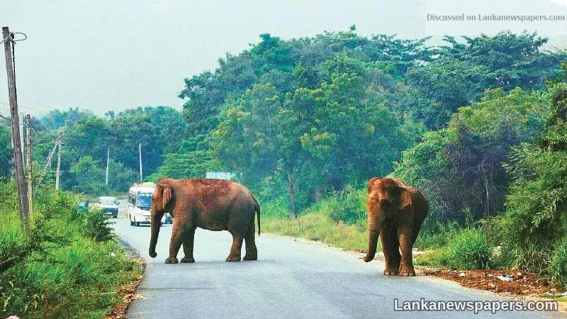 Human Elephant Conflict Management - Learning from past mistakes