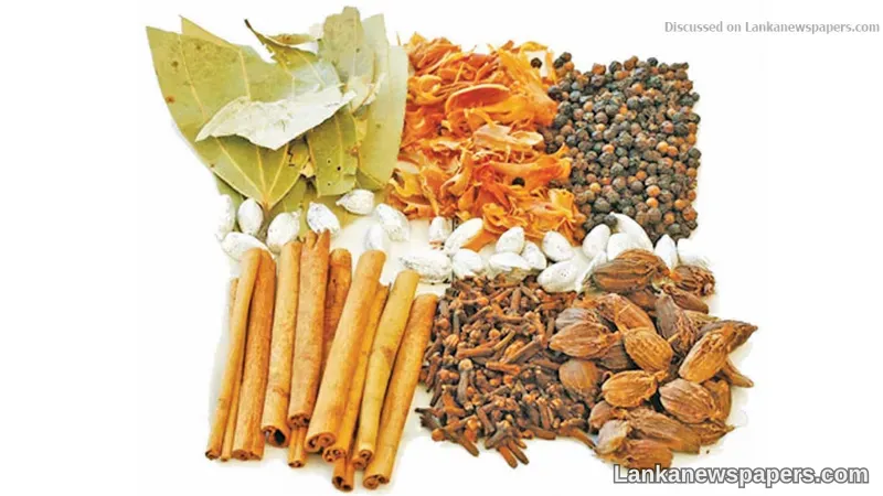 SL exports to South Asia Sub regional Economic Cooperation up by 8%