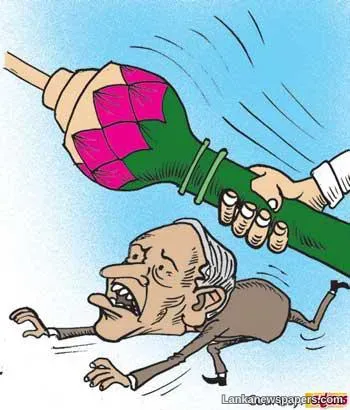 Getting a shelling of his own seeking!