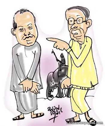 Poised for another somersault?