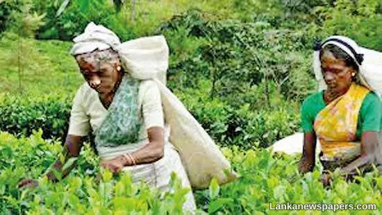 Still no deal on estate workers’ wage hike