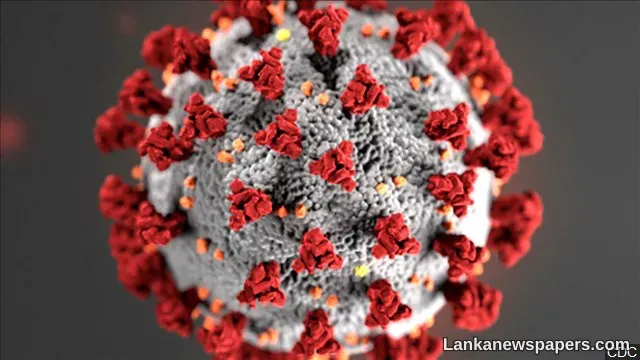 Number of COVID-19 patients rises to 50