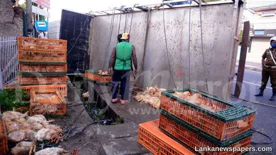 Poultry truck topples over…