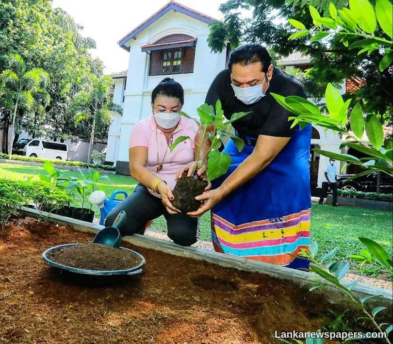Home Garden Challenge