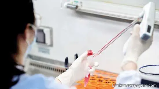 No evidence that coronavirus emerged from Wuhan lab