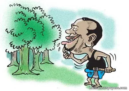 To destroy the forest cover to set up a zoo?