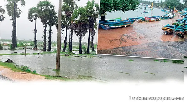 LNP - Everything ready to face cyclonic storm
