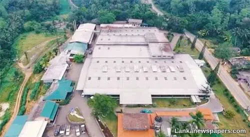 LNP - ‘Brombil, largest tea  producing factory’