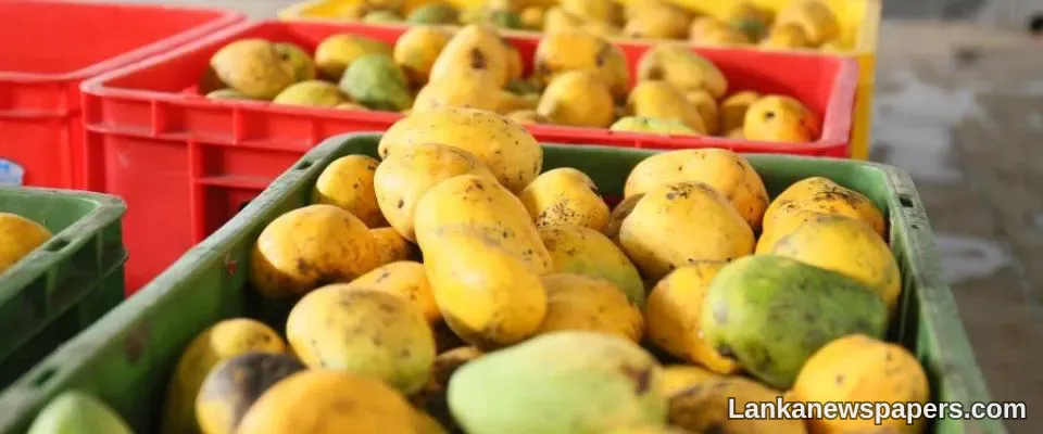 LNP - Govt reveals relief packages for SMEs, assistance for low-income earners