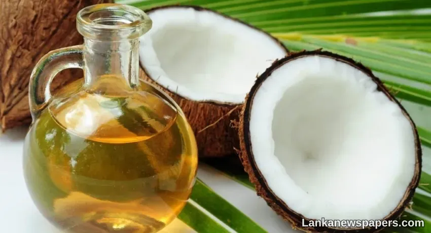 LNP - USAID, CBL Group release handbook to tackle coconut production shortage