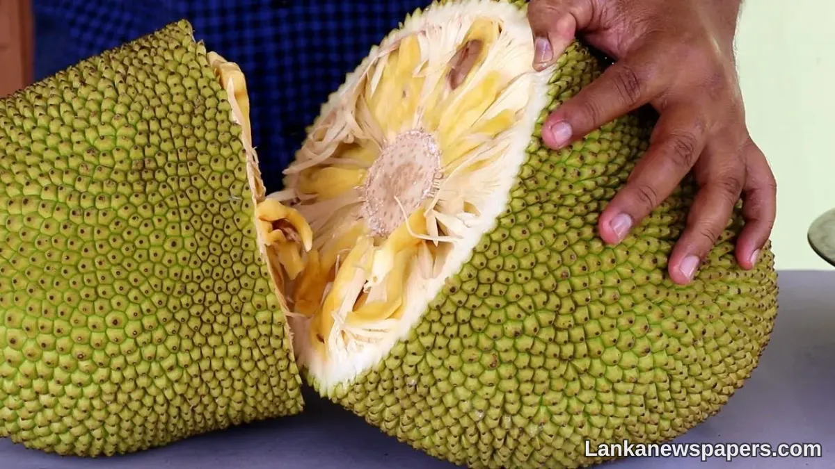 LNP - Singaporean company makes pork from Sri Lankan Jackfruit