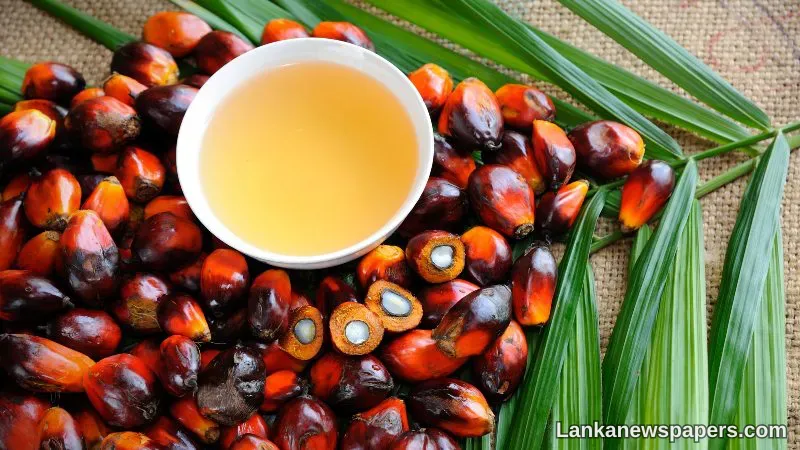 LNP - Malaysia irked by Sri Lanka’s palm oil import ban
